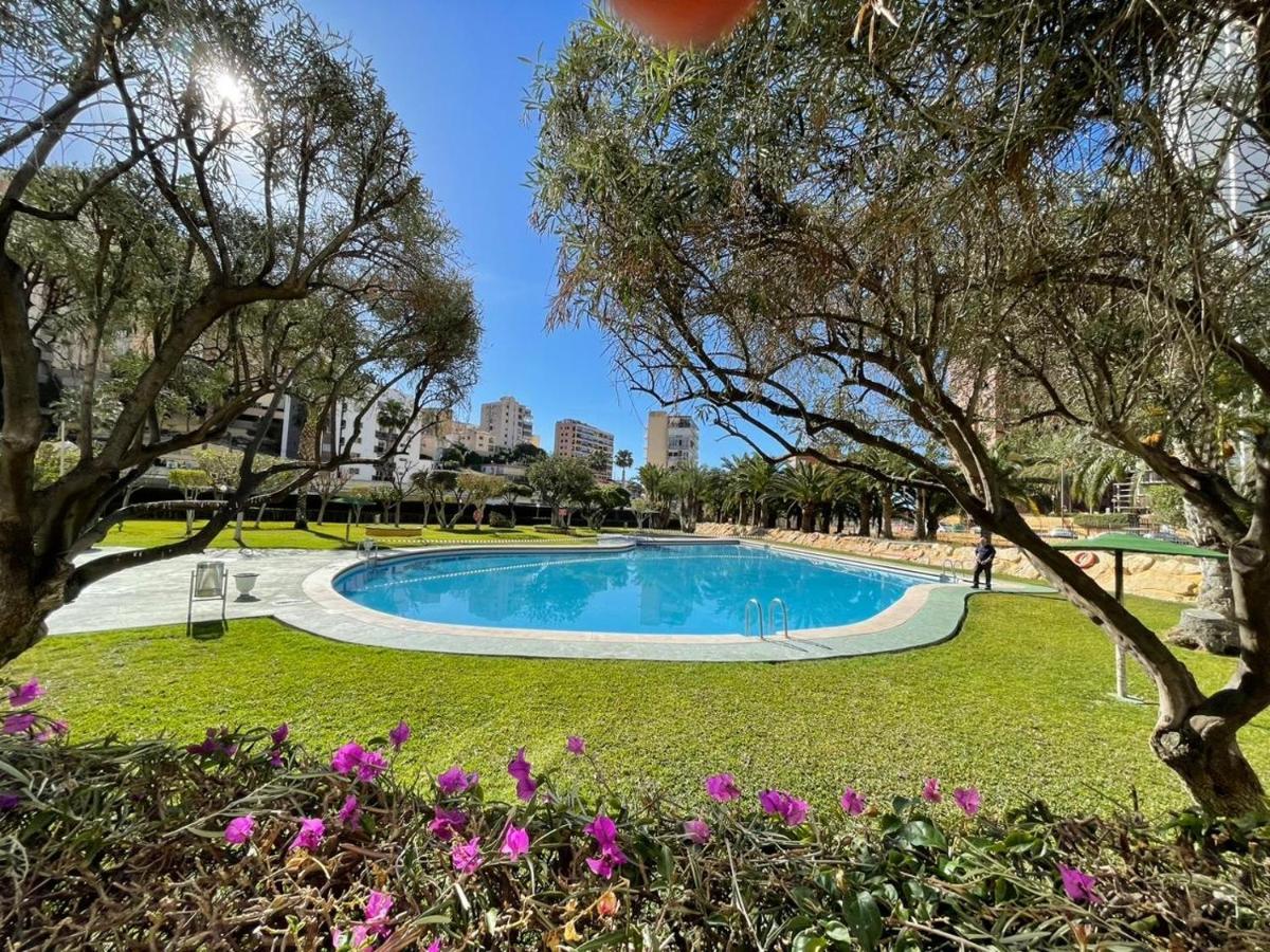 Appartement Superbe à 200 Mètre De La Benidorm